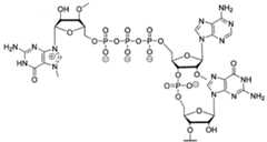 Figure imgf000095_0001