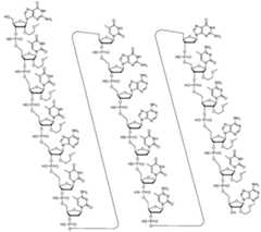 Figure imgf000050_0001