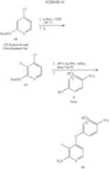 Figure US07459562-20081202-C00026