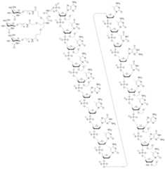 Figure 112016114379466-pct00008