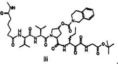 Figure BSA00000606821201892