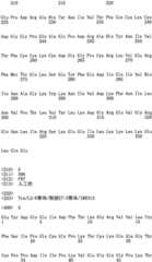 Figure IPA0000296957260000051