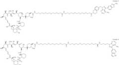 Figure US12048749-20240730-C00457