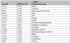 Figure imgf000050_0001