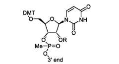 Figure imgf000024_0002