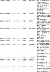 Figure BPA00001280678303451