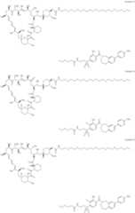 Figure US11364300-20220621-C00457