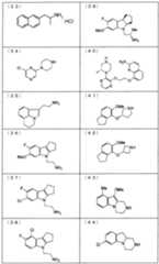 Figure JPOXMLDOC01-appb-T000008