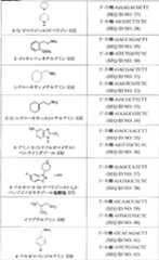 Figure 0007010875000006