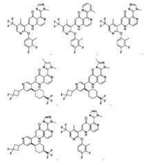 Figure 2025513455000446