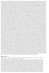 Figure imgf000202_0001