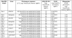 Figure imgf000179_0001