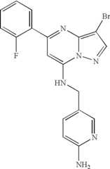 Figure US07119200-20061010-C00049