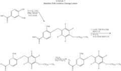 Figure US06936477-20050830-C00030