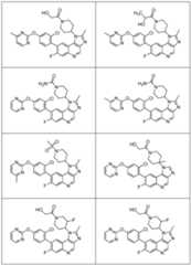 Figure imgf000013_0001