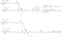 Figure US10793862-20201006-C00261