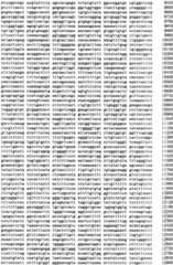 Figure IPA0000293710130000041