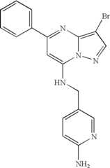 Figure US07119200-20061010-C01267