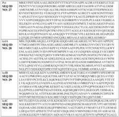 Figure imgf000136_0001