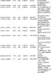 Figure BPA00001280678301181