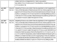 Figure imgf000155_0001