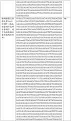 Figure BDA0002508391090001471