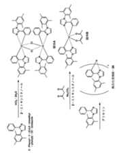 Figure JPOXMLDOC01-appb-C000015