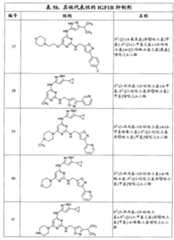 Figure G2007800513551D02631