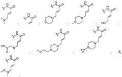 Figure FDA0002202730300000052