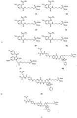 Figure imgf000036_0001