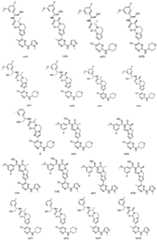 Figure PCTCN2020091695-appb-100007