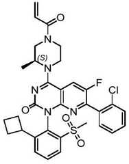 Figure BDA0002861043520000883