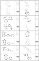 Figure 112016064103746-pct00250