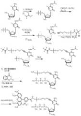 Figure BDA0003670511740004771