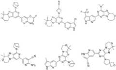 Figure FDA0002486010530000081