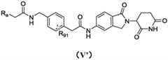 Figure FDA0003126903670000101