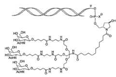 Figure 107123784-A0305-02-0258-20