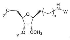 Figure imgf000024_0003
