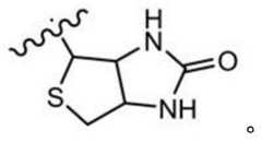 Figure BDA0003670511740002054