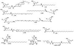 Figure imgf000224_0001