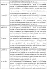 Figure GDA0002332994560000421