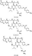 Figure BDA0003674984870000491