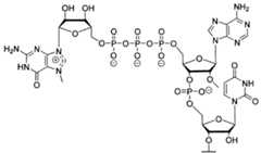 Figure imgf000096_0003
