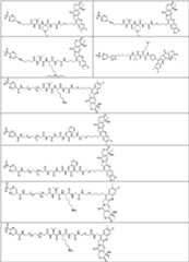 Figure PCTCN2022073822-appb-000372