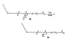 Figure JPOXMLDOC01-appb-C000082