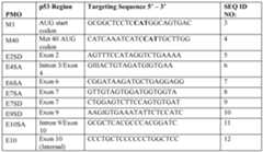 Figure imgf000052_0001
