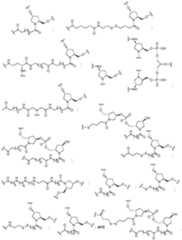 Figure imgf000485_0001