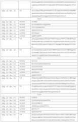 Figure PCTCN2019114818-appb-000017