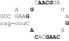 Figure US06759392-20040706-C00009