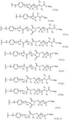 Figure imgf000077_0001